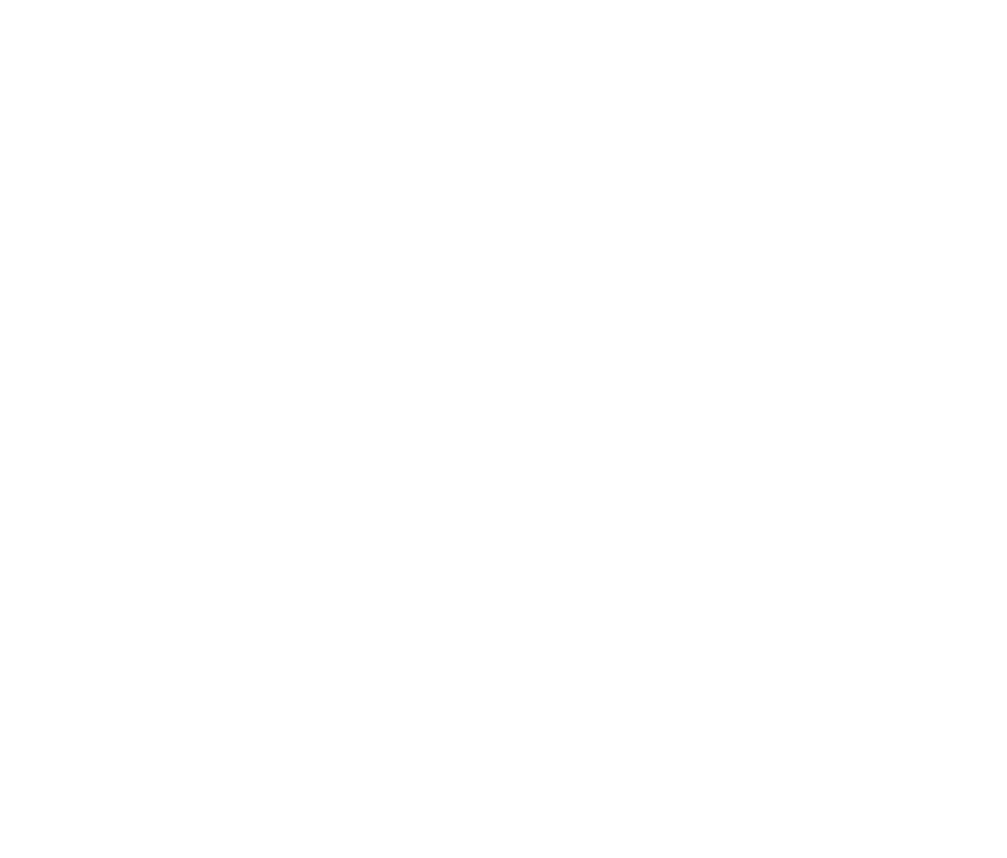 NCS Strategy Logo 2022 white NCS Strategy Logo 2022 white