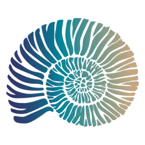 GEOPUBLISHING-AMMONITE-placeholder