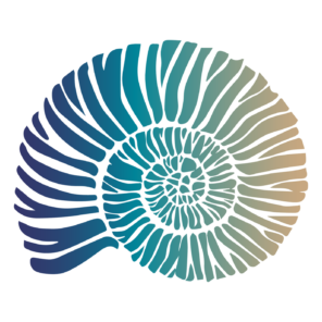 GEOPUBLISHING-AMMONITE-placeholder GEOPUBLISHING-AMMONITE-placeholder